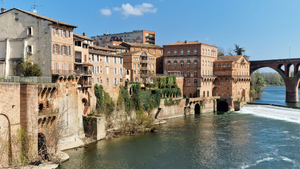 Traitement punaises de lit Albi